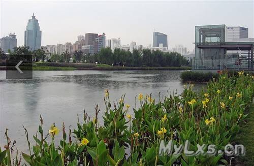 奧林匹克公園.jpg