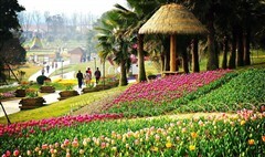 漫花莊園 錦門絲綢小鎮(zhèn)一日游